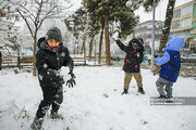 خوشحالی جالب مردم از بارش برف در جاده چالوس | تصاویر