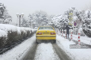 در این نقطه از ایران نیم متر برف بارید | بارش‌های فراوان تا چه زمانی ادامه دارد؟ | هشدار به پایتخت‌نشین‌ها ؛ تهران یخ می‌زند