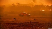 ببینید | تصاویر هوایی آتش سوزی جنگل‌های استرالیا | آتش‌سوزی در ۵۰ نقطه جنگل