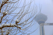 ببینید | تهران در مه فرو رفت