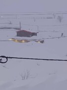 تصویر عجیب دفن شدن خانه‌ها زیر برف در کوهرنگ