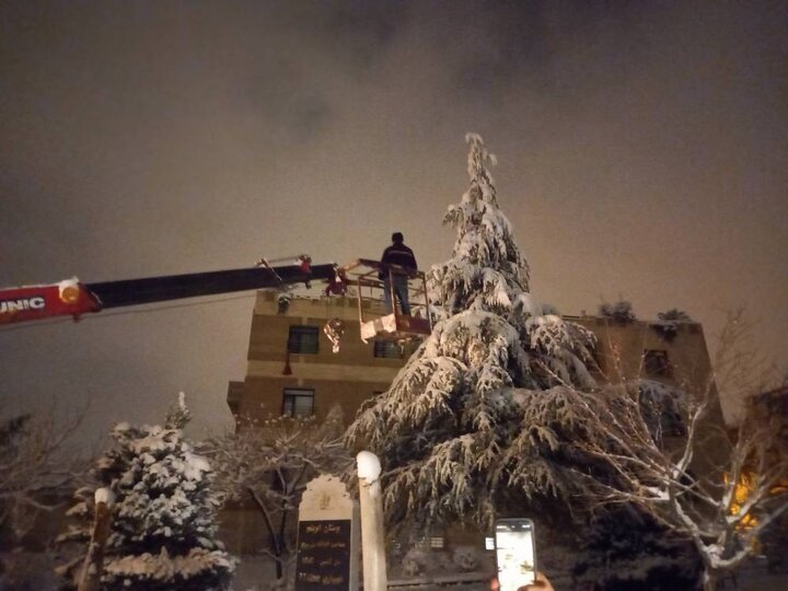 تصویر | برفتکانی درختان با استفاده از بالابر
