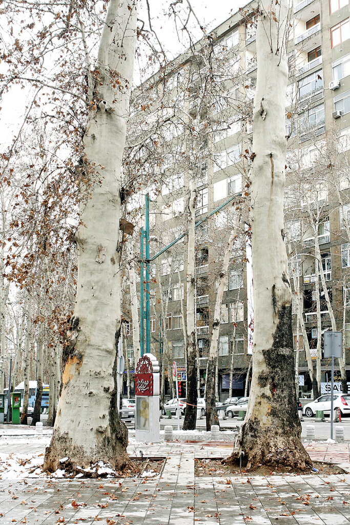 شاهزادگان و درباریها خورآذین را تصاحب کردند | ورود آلمانیها و عثمانیها به شمال تهران | سالشمار وقایع تاریخی محله