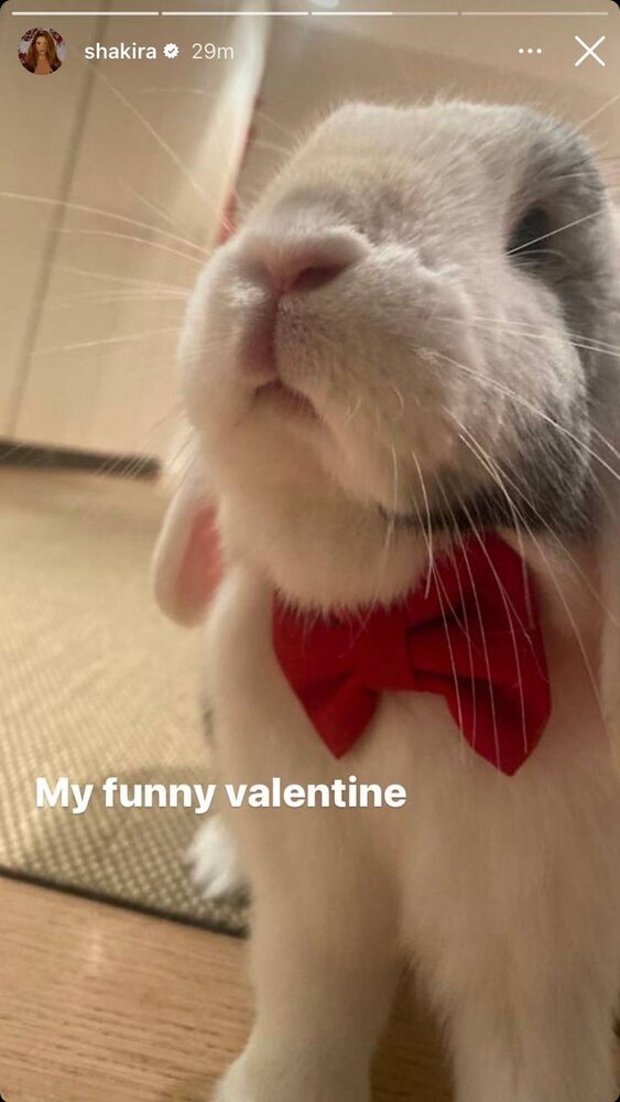 تصاویر | شکیرا با جانشین عجیب پیکه در ولنتاین