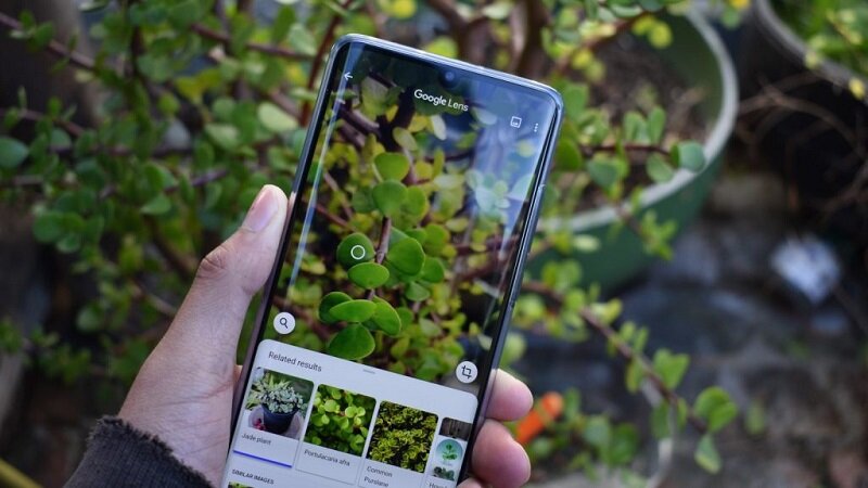 یک ویژگی جذاب در گوشیهای اندرویدی | این عنکبوت سمی است یا خیر!