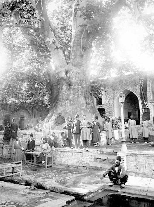 تصاویر کمتر دیده شده از شمیران | طاق نصرت فرشی برای ورود تختی از ملبورن