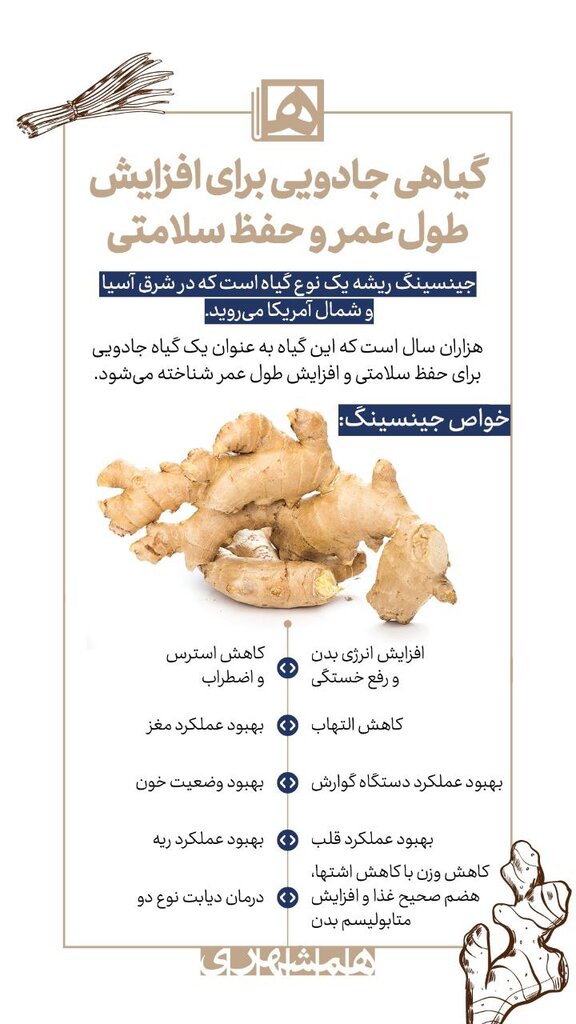 گیاهی جادویی برای افزایش طول عمر و حفظ سلامتی