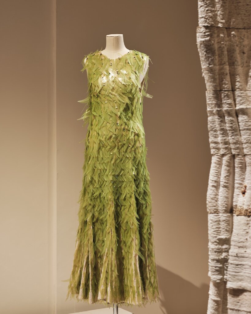 عکس | لباسهای جلبکی در راهاند