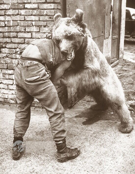 کشتی با خرس یکی از سرگرمیهای طهران قدیم