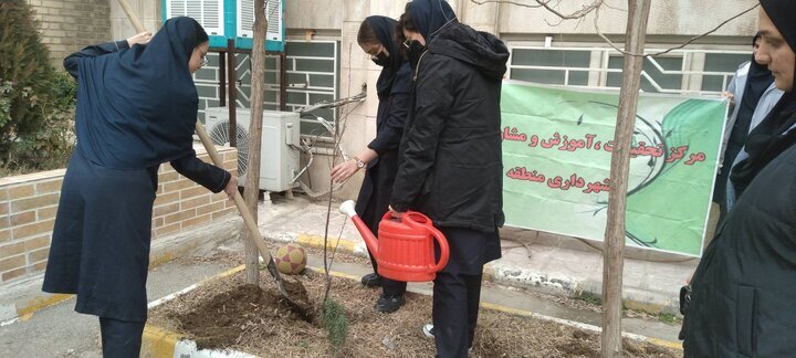 از کاشت نهال مزین به نام شهدا تا سرسبز شدن مدارس با مشارکت بچهها