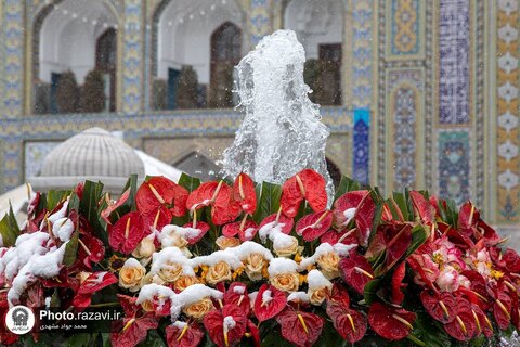حال و هوای برفی حرم مطهر امام رضا علیه‌السلام