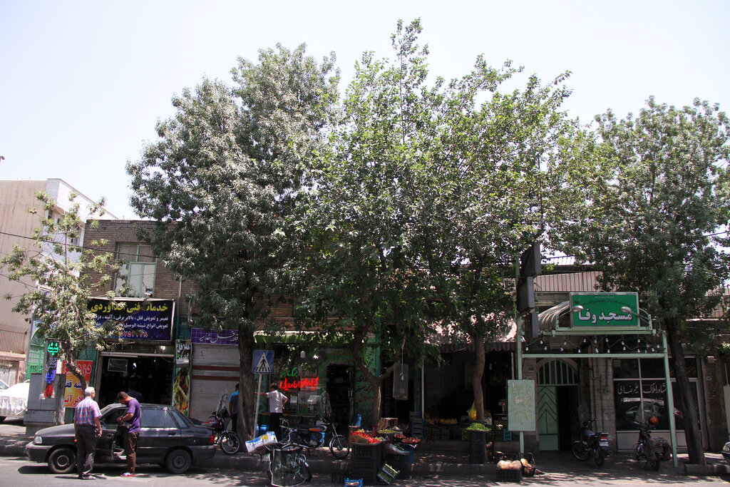 این‌ محله قدیمی تهران را به نام «شوش» و «شبیر» می‌شناسند | «وفا» اولین‌مسجد و «عبدالرزاق» اولین امام‌جماعت محل بود 