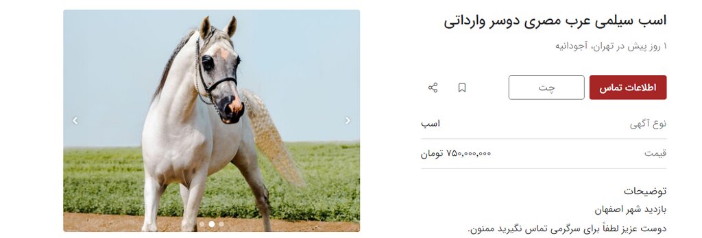 قیمت اسب از پراید جلو زد! | جدیدترین نرخ خرید و فروش اسب را ببینید
