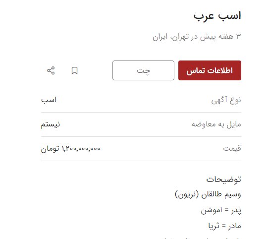 قیمت اسب از پراید جلو زد! | جدیدترین نرخ خرید و فروش اسب را ببینید