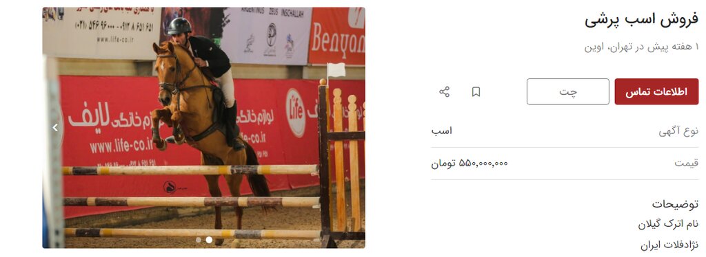 قیمت اسب از پراید جلو زد! | جدیدترین نرخ خرید و فروش اسب را ببینید
