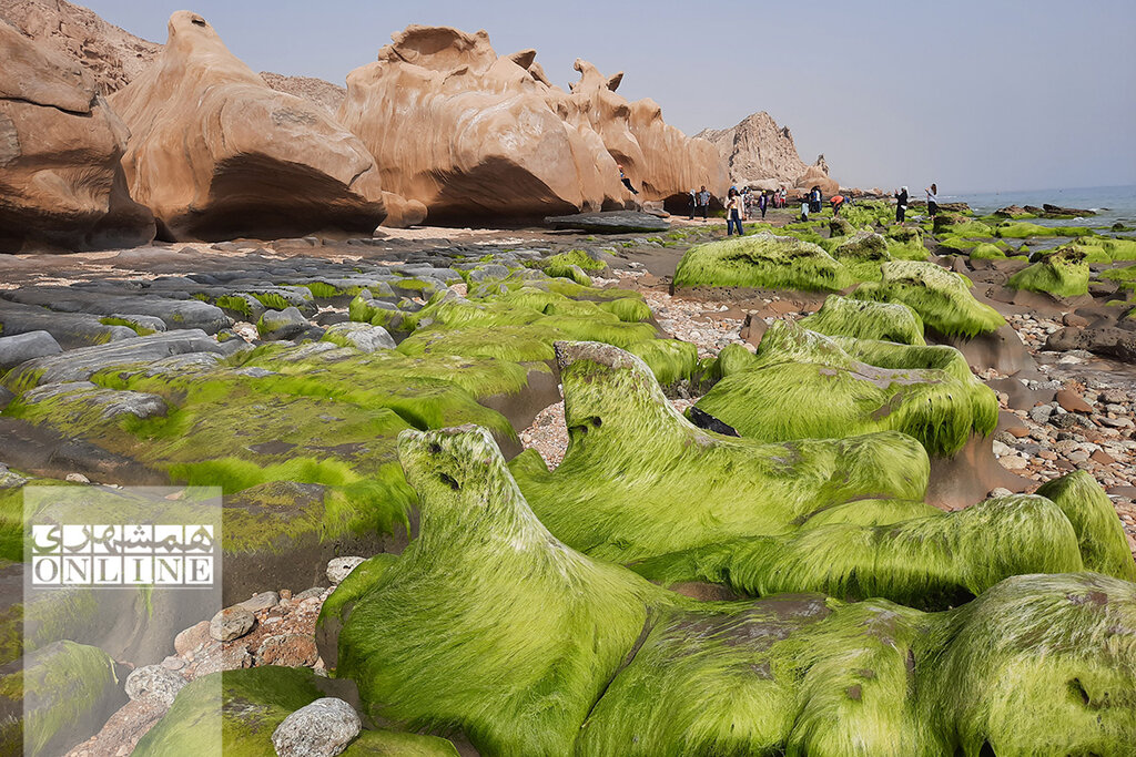 ببینید | این تندیس‌های سنگی حاصل جدال موج و صخره‌اند | سفر به ساحل مکسر؛ رویایی‌ترین ساحل صخره‌ای خلیج فارس  