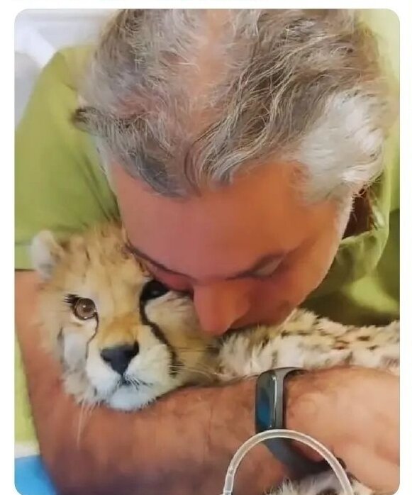 تصویر دردناک پیروز در آغوش پرستارش ساعتی قبل از مرگ | این مرد دارد آب میشود!