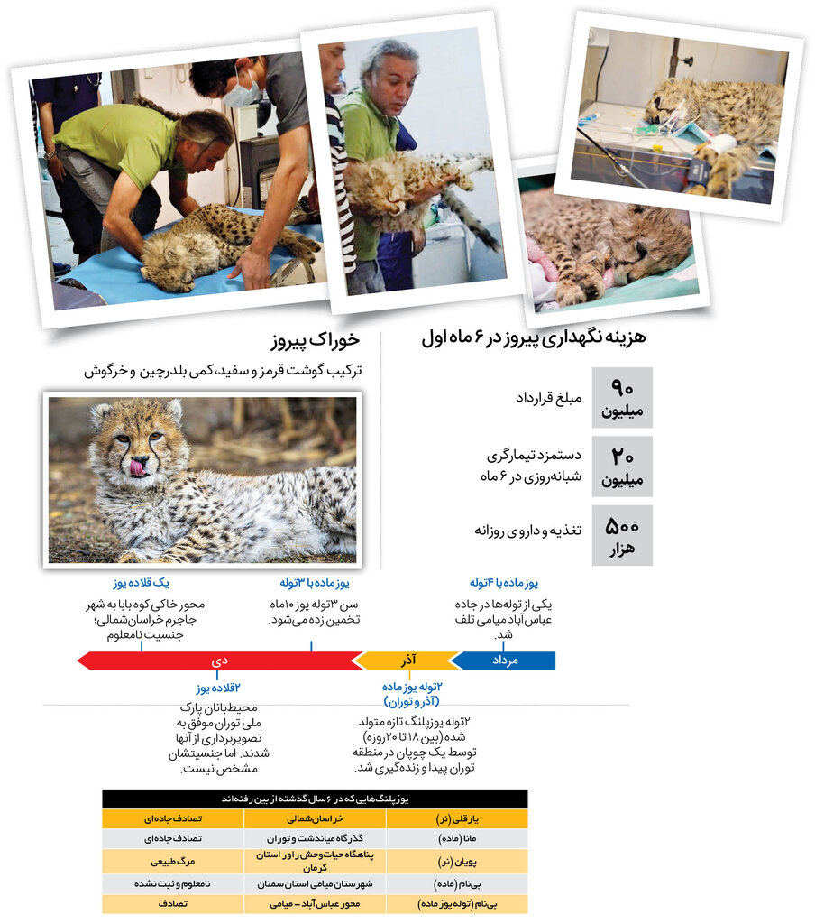 پیروز ماندگار میشود