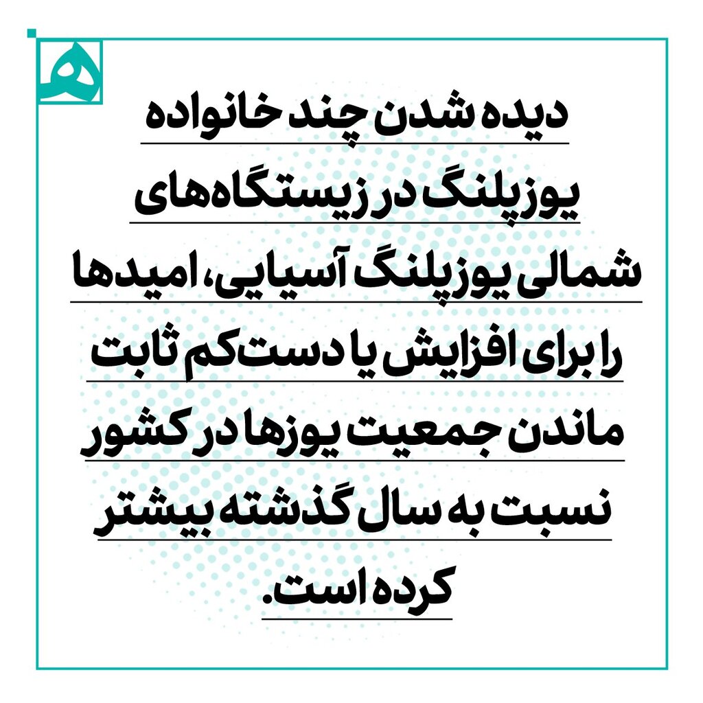 اینفوگرافیگ | پیروز ماندگار میشود | امیدها برای حفظ نسل یوزهای ایرانی زنده است