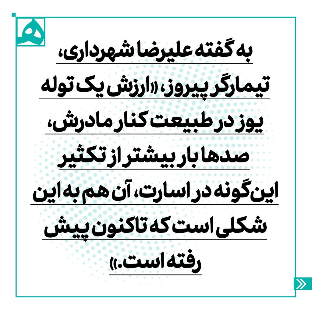 اینفوگرافیگ | پیروز ماندگار میشود | امیدها برای حفظ نسل یوزهای ایرانی زنده است