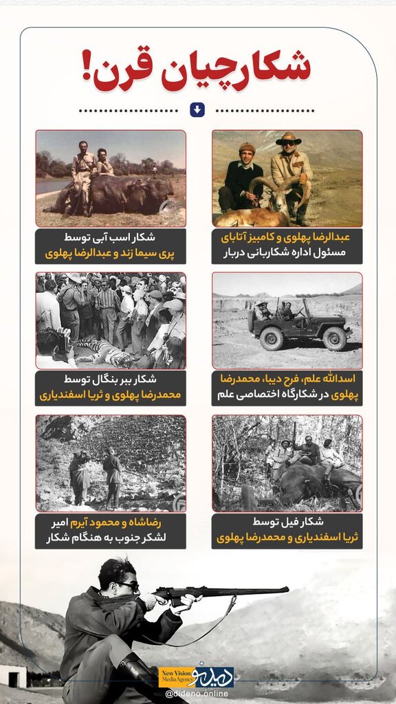 اینفوگرافیک | شکارچیان قرن! | حیواناتی که به دست محمدرضاشاه و خانوادهاش کشته شدند