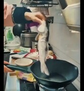 ببینید | زنده شدن ماهی منجمد در تابه داغ ؛ جیغ وحشت خانم آشپز را ببینید