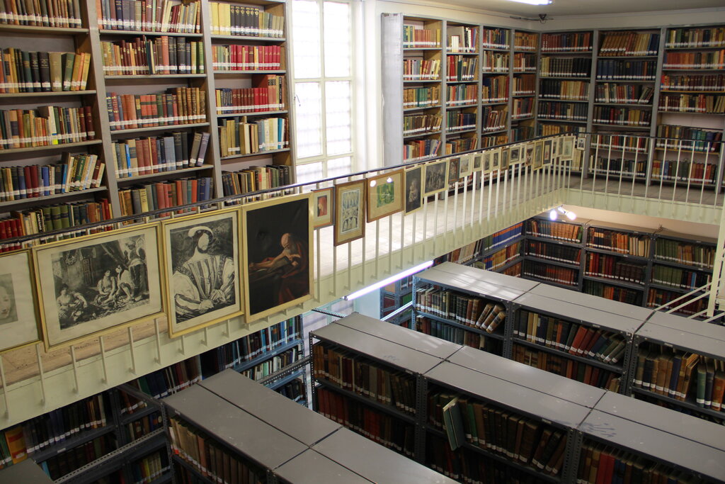 قهرمان محله | این مرد حاصل عمرش را وقف ایران کرد | تشبیه ۲۵ هزار جلد کتاب نفیس به بال پشه