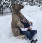ببینید | دوستی خطرناک انسان‌ها با این خرس در جنگل!