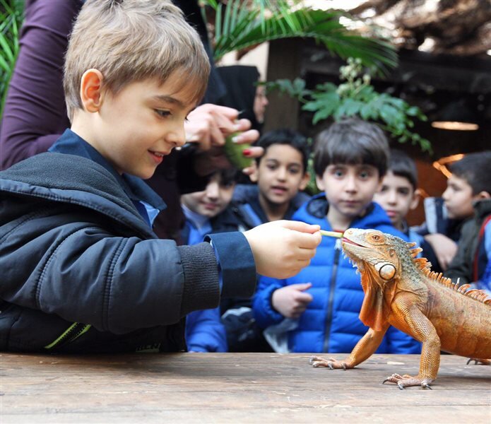 چگونه می توان کیفیت باغوحش های کشور را بالا برد؟ | دیدن این باغ وحشهای دیدنی را در تعطیلات از دست ندهید