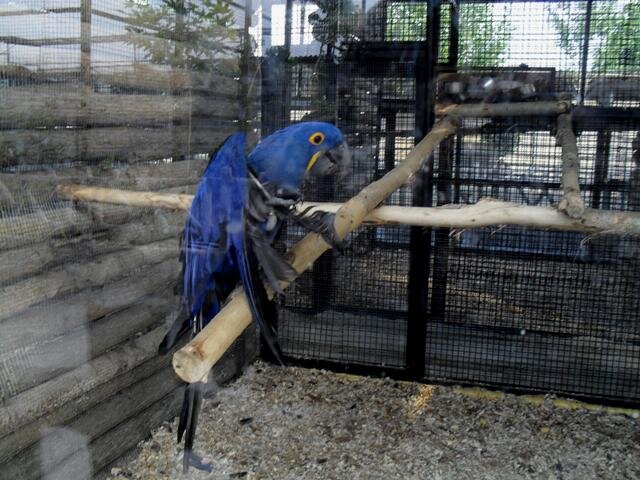 چگونه می توان کیفیت باغوحش های کشور را بالا برد؟ | دیدن این باغ وحشهای دیدنی را در تعطیلات از دست ندهید