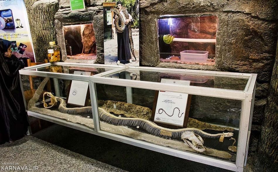 چگونه می توان کیفیت باغوحش های کشور را بالا برد؟ | دیدن این باغ وحشهای دیدنی را در تعطیلات از دست ندهید