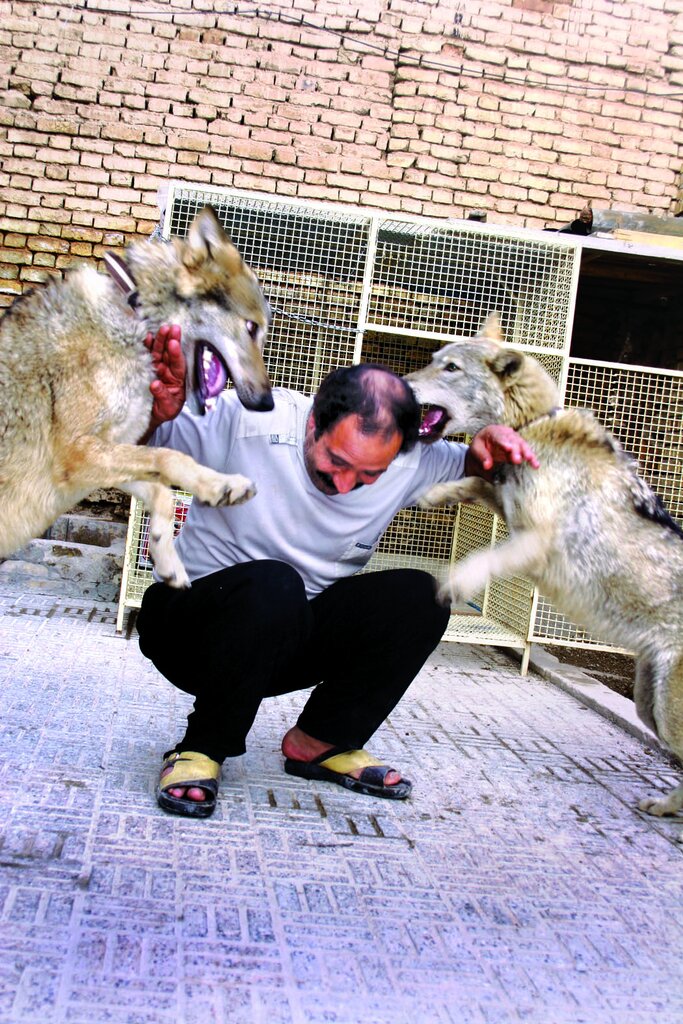 تصاویر | سلطان مار ایران را بشناسیم | مار بهترین اسباببازی این خانواده به حساب میآید | مارها آنها را نیش نمیزنند | زندگی درکنار مارهای خوشخط وخال