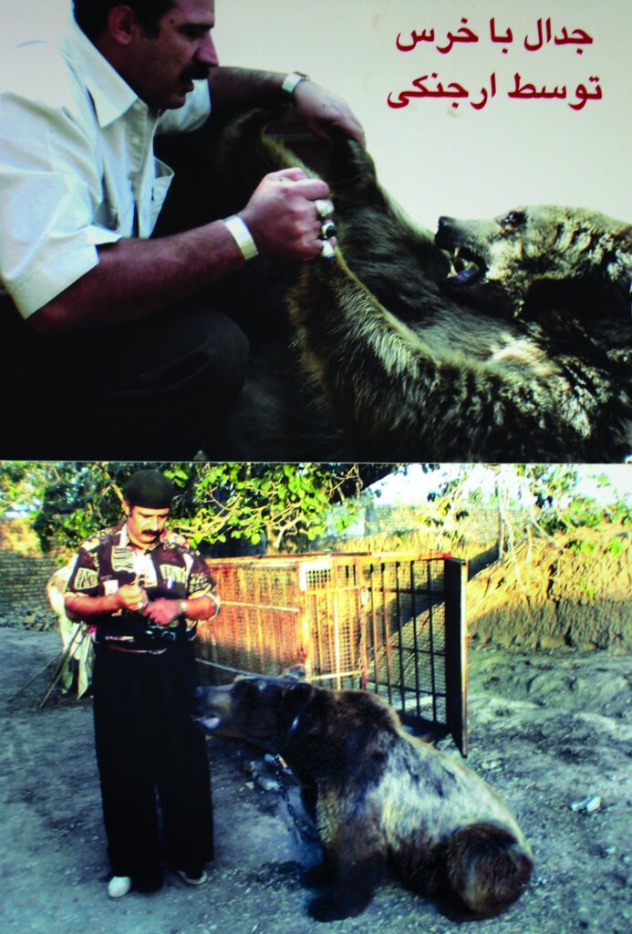 تصاویر | سلطان مار ایران را بشناسیم | مار بهترین اسباببازی این خانواده به حساب میآید | مارها آنها را نیش نمیزنند | زندگی درکنار مارهای خوشخط وخال