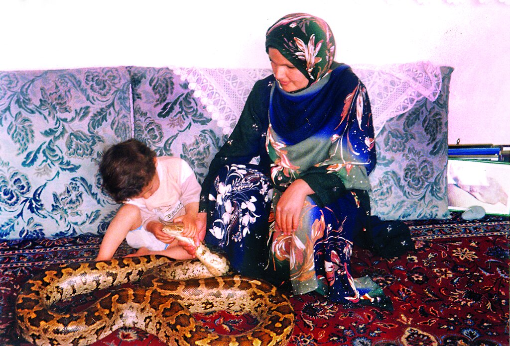 تصاویر | سلطان مار ایران را بشناسیم | مار بهترین اسباببازی این خانواده به حساب میآید | مارها آنها را نیش نمیزنند | زندگی درکنار مارهای خوشخط وخال