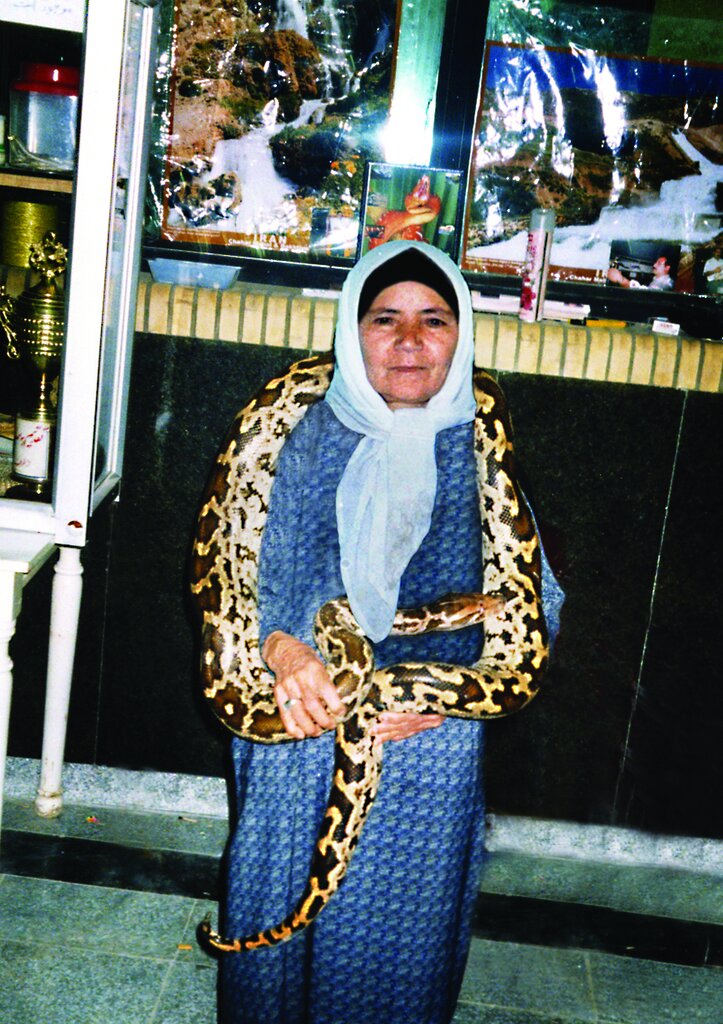 تصاویر | سلطان مار ایران را بشناسیم | مار بهترین اسباببازی این خانواده به حساب میآید | مارها آنها را نیش نمیزنند | زندگی درکنار مارهای خوشخط وخال