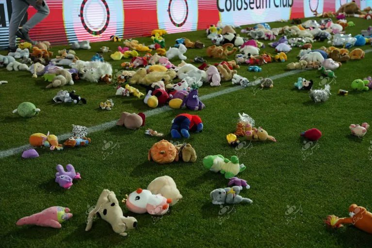 تصاویر | باران عروسک برای فاجعه ترکیه | فریم به فریم با واکنش تحسینبرانگیز فوتبالدوستان بوسنی به کودکان زلزلهزده