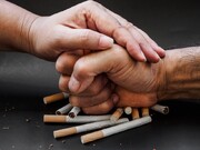 اینفوگرافیک  | آمار تکان دهنده از مصرف دخانیات در ایران | نسبت قابل تامل زنان و مردان در مصرف سیگار و قلیان