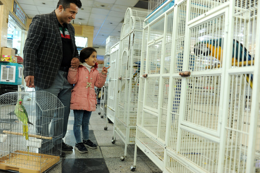 یک بازار پر از پرنده در جنوب تهران