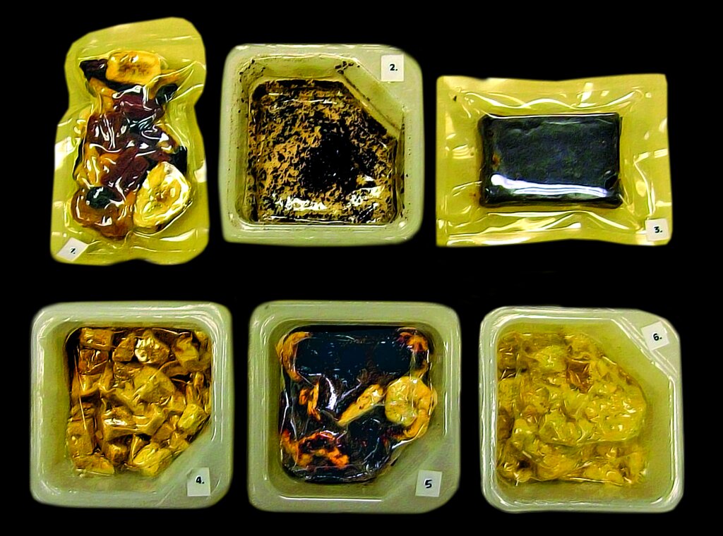 تصاویر | غذاهای عجیب و غریبی که فضانوردها می‌خورند را ببینید | با دیدن این غذاها هیچ‌وقت دلتان نمی‌خواهد فضانورد شوید