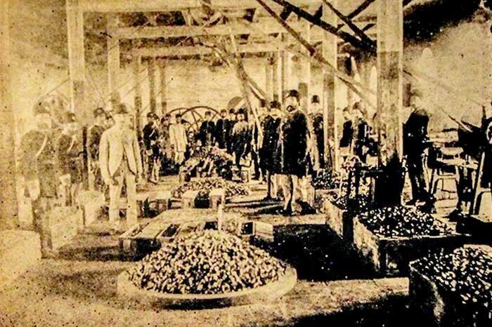 اصطلاح شندرغاز از کجا آمده؟ | چرایی ارتباط زیر دندان گذاشتن مدال با ضرب سکه