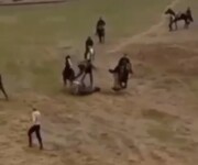 ببینید | لحظه تصادف وحشتناک ۲ اسب در کورس سوارکاری