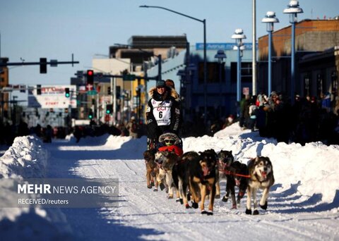  پنجاه و یکمین سال مسابقات سورتمه سواری با سگ ایدیتارود - آلاسکا