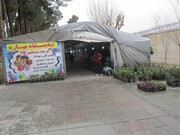 بوستان ها و معابر پرتردد میزبان بازارچه‌های نوروزی