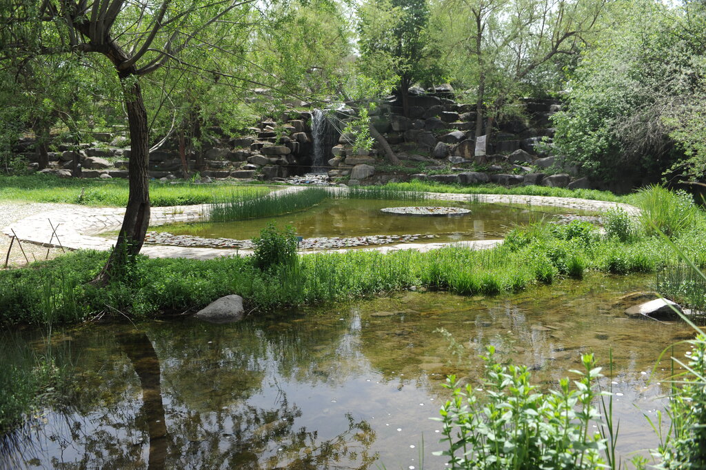 باغ گیاه‌شناسی