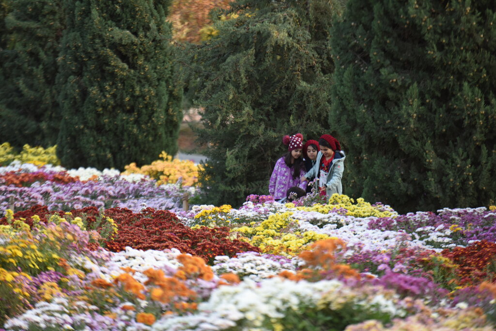 باغ گیاه‌شناسی