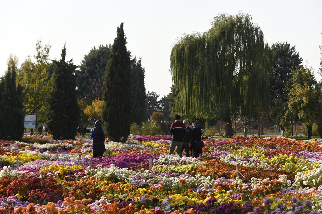 باغ گیاه‌شناسی