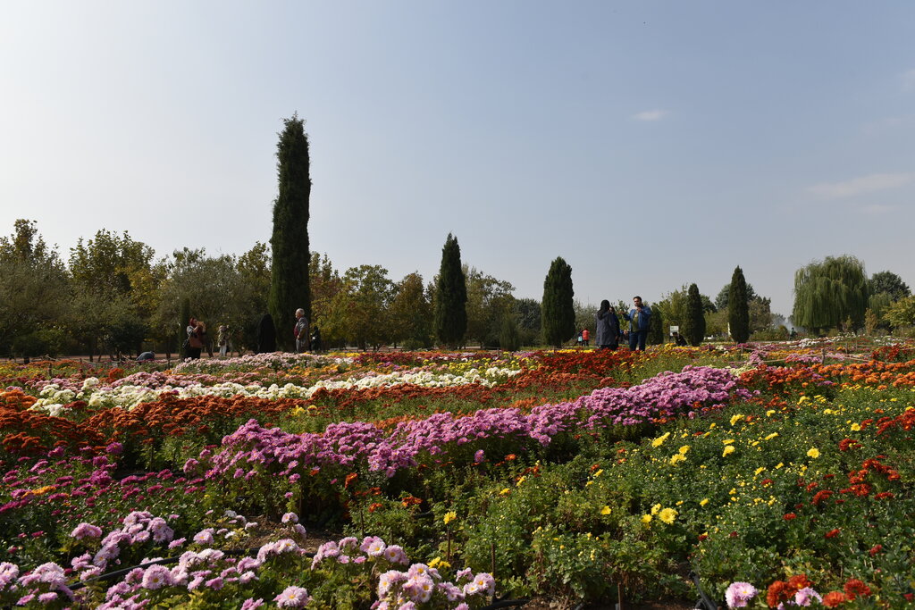 باغ گیاه‌شناسی