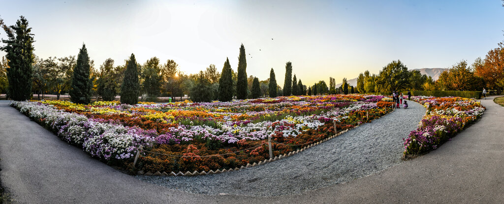 باغ گیاه‌شناسی