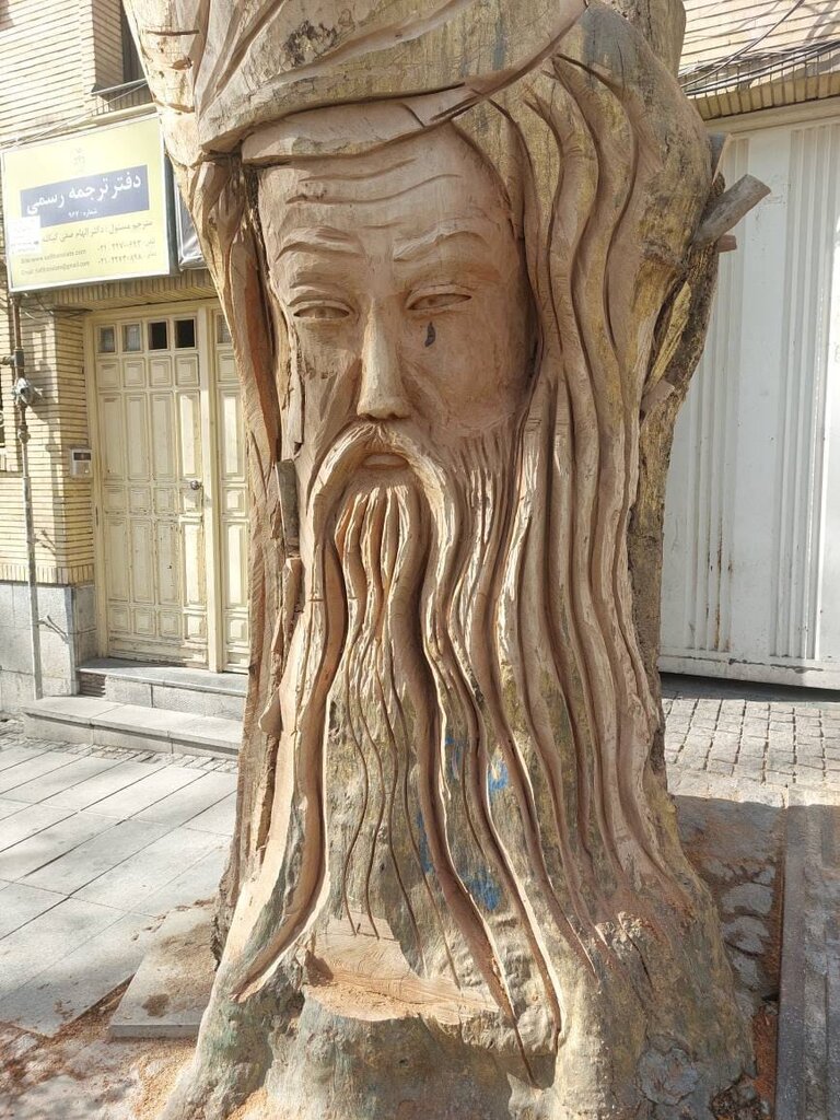 چنار خشکیده ۳۵۰ساله باغ فردوس مولانا شد!