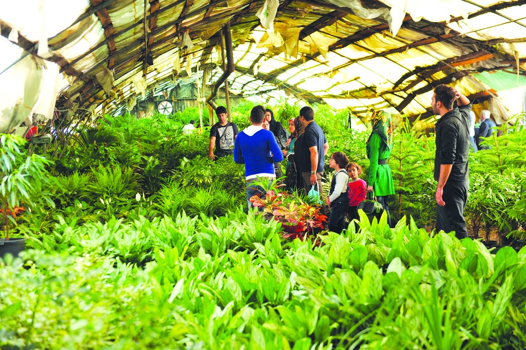 بزرگترین بازار گل کشور در این منطقه است | سراغی بگیریم از ارزانترین تا گرانترینها در بهار دلانگیز